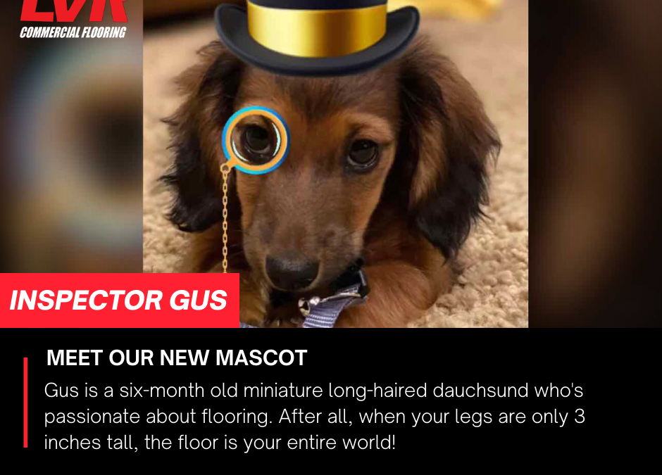 Meet Inspector Gus!